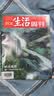 三联生活周刊 2025年1月第1期 本期主题：手艺之美 宋锦 苏扇 核雕 漆器 瓷胎竹编 蜀锦 实拍图