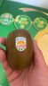 佳沛（zespri）新西兰阳光金奇异果10粒礼盒巨大果单果约146-175g水果猕猴桃 实拍图