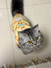 华元宠具（hoopet）猫咪衣服防掉毛秋冬无袖毛衣狗狗衣服冬季保暖宠物德文猫两脚衣 【猫狗通用】两脚无袖保暖黄毛衣 M：胸围39cm（建议5-7斤） 实拍图