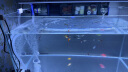 松宝（sobo）鱼缸增氧泵养鱼氧气泵小型家用充氧泵水族箱打氧机增氧泵 双孔3W 晒单实拍图