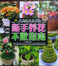 新手养花不败指南 103种沾土就活的植物，再也不当“园艺杀手” 实拍图