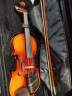 圣维斯（SEENWINS）SEENWINS圣维斯SW100手工实木小提琴初学者儿童考级入门成人初学 SEENWINS SW100 4/4 身高150以上 晒单实拍图