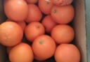 良田石山赣南州新鲜脐橙生果冻鲜橙子年货节水果礼盒 3斤精选大果带箱 单果140-200g 实拍图