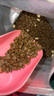 K9狗粮 全价冻干风干3+混合昆虫蛋白犬粮全犬期通用 (鸡肉配方)8kg 实拍图