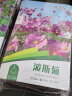 花沃里20款花种子套餐 花卉种子组合太阳花凤仙花向日葵四季种野花 实拍图