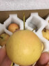 梦宛怡辽宁鞍山特产南果梨东北当季酒香水梨子现摘新鲜酥脆南国梨水果 带箱2斤中大果尝鲜装 精品果 实拍图