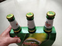青岛啤酒（TsingTao）经典系列 大容量浓郁麦香600ml*12瓶 整箱装 露营出游 实拍图