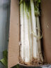 【顺丰】山东章丘铁杆大葱 新鲜生吃葱 当季蔬菜 精选特等 | 9斤礼盒 |葱白更长 晒单实拍图