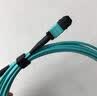 思诺亿舟（SNIT）SN-MPO-MT12-3M 12芯MPO-MPO光纤跳线母头B极性兼容MTP OM3万兆多模40G/100G光纤线 3米 实拍图