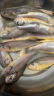 三都港 冷冻海捕小黄鱼700g 24-29条 深海鱼 生鲜 鱼类 海鲜水产 烧烤 实拍图