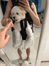 贝初众狗包宠物背带包外出双肩狗狗背包中小型犬背狗神器胸前后背带猫包 黑色 S码【适用6-10斤】 实拍图