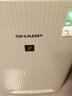 凯琪丽（KAIQILI）适用夏普(shrap)空气净化器过滤网 滤芯 FZ-380HFS过滤网 W380/Z380/BB60/WG605 实拍图