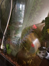 森森（SUNSUN）潜水泵鱼缸水泵水族箱抽水泵家用换水器过滤循环泵 24W超节能HQB-2000 水陆两用 实拍图