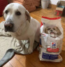 希尔思Hill‘s狗粮老年犬专用 希尔斯狗粮小颗粒全价粮 进口通用犬粮15磅 小颗粒老年犬粮15磅/约6.8kg 晒单实拍图