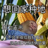 李宁荷叶防护风衣丨运动风衣男女同款夏季防泼水户外登山服宽松外套 【晴雨两用】暗黑绿955-1 S 实拍图