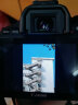 佳能/Canon EOS 100D 200D 200d二代 二手单反相机 100D黑+18-55 防抖 套机 99新 实拍图