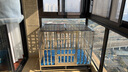 金百特【满焊加粗全方管】不锈钢狗笼子大型犬宠物狗屋狗别墅金毛哈士奇 【全方管】-长110*宽72*高95-萨摩 金毛等 组装款满焊【带脚垫板】 实拍图