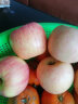 京鲜生烟台红富士苹果8个 单果160-190g 新鲜水果 实拍图