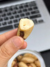 春江月新货巴西大鲍鱼果仁富硒原味坚果新疆沙漠果孕妇儿童干果含硒零食 【0添加富硒果仁】500g*1罐 实拍图