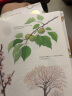 我家门外的自然课（修订版，全4册）南妍汀【3-6岁】 自然图鉴手册 给中小学生的自然科普  实拍图