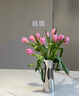 Georg Jensen 乔治·杰生乔治杰生BLOOM花朵花瓶北欧简约客厅餐桌插花礼物 中号 晒单实拍图
