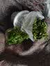 叹为观止18种吊兰任你选金边吊兰各种盆栽花卉客厅垂吊桌面植物净化空气 铜钱草 含盆 实拍图