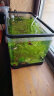 阔庭鱼缸桌面透明生态鱼缸客厅水族箱黑色 实拍图
