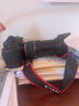 佳能（Canon） EOS 6D MarkII 全画幅单反相机 佳能6d2 vlog数码单反相机 佳能6D2拆单机身【不含镜头】 套餐四【套餐五配件升级不加价~强烈推荐套餐五】 实拍图