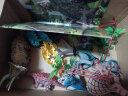 纽奇儿童仿真恐龙玩具软胶侏罗纪霸王龙模型世界带场景75件套早教玩具 晒单实拍图