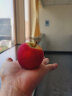 乐淇（ROCKIT）新西兰火箭筒苹果 5粒大筒装 单筒350g起 生鲜 新鲜水果 晒单实拍图