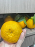 生活＆好管家 四川春见耙耙柑新鲜水果应季橘子现摘孕妇水果整箱桔子橘子 优选级市场果 4.5-5斤【单果70-75mm】净重4.5斤 实拍图