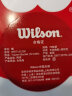 Wilson威尔胜无压力训练网球 WRT131200 实拍图