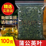 可尝蒲公英茶干茶叶泡水喝浦公英甫公英茶泡水喝茶天然泡茶泡水 1袋 102g 蒲公英 实拍图