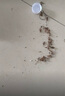 康宇蟑螂药家用灭杀床上臭虫吸血虫喷雾呋虫胺跳蚤药猫狗窝灭苍蝇 实拍图