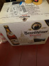 百帝王（Benediktiner）小麦白啤酒 修道院 500ml*12瓶 整箱装 德国原装进口 春日出游 实拍图