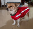 拉维佩特（LOVINGPET）狗狗衣服大型犬 保暖金毛狗衣服冬季柯基拉布拉多狗衣服中型犬 红色 2XL 建议20-25斤 实拍图
