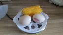 领锐（lingrui） 迷你煮蛋器蒸蛋器小型蒸蛋器自动断电蒸鸡蛋羹神器多功能单人早餐煮鸡蛋器蒸蛋机 XB-EC01单层黄色 实拍图