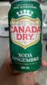 加拿大Canada dry Ginger Ale zero 0糖无糖姜汁干姜生姜水气泡苏打汽水 原味有糖12罐装日期至26年-10月 实拍图