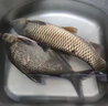 京品千川鲤官方千川鲤六代6代旗舰超轻硬大物鲢鳙台钓鱼竿手竿十大渔具品牌 8.1m 六代超轻 5H28调+钓断秒赔 实拍图
