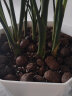 德沃多肥料育苗专用营养土15L通用种菜养花土壤有机种植土复合基质土椰糠土 实拍图