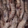 弹指鲜生虾盐冻大虾基围虾冷冻厄瓜多尔白虾夜宵烧烤食材毛重4斤净虾3.3斤 18-20cm 4斤(净重)  2030超大虾 实拍图