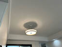 TCL照明吊扇灯风扇灯具客厅北欧餐厅卧室简约LED风扇隐形吊扇灯现代 【双控】42寸36W高显节能变频 实拍图