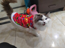 萌嘟星宠猫狗服装秋冬季保暖衣服可爱搞笑宠物新年衣东北大花袄XXL号 实拍图