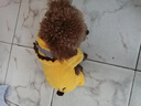 阿莫尔宠物小狗狗衣服秋冬装加绒加厚保暖泰迪比熊小型犬四脚衣猫咪衣服 狮子（四脚） M-建议4-6斤内 实拍图