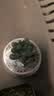 墨一玉露多肉植物带盆栽好蓝镜玉露办公室桌面盆栽植物花卉教师节礼物 樱变女神玉露 带盆栽好 实拍图
