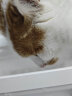 米家无线智能宠物饮水机 猫咪饮水机 感应出水四重过滤3L大容量 小米 实拍图