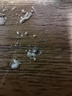 Orgain有机植物豌豆蛋白粉 无糖原味454g/罐 26年1月效期 白色 实拍图