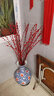 开时果 银柳鲜枝干花年宵花卉 红色真花福桶银柳水培植物室内装饰鲜花 【100cm】银柳30枝（喜庆红） 实拍图