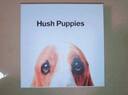 暇步士（Hush Puppies）【礼盒装】皮带男士头层牛皮针扣腰带新款裤腰带送男友礼物送老公 人气棕HD-1871940W-502 130cm 实拍图