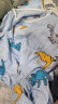 南极人（Nanjiren）儿童睡衣男童夏季绵绸长袖薄款可外穿宽松家居服套装蓝色恐龙160 晒单实拍图